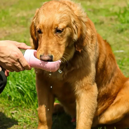 On-the-Go Pet Hydration: Portable Dog Water Cup & Travel Feeding Bowl for Outdoor Adventures